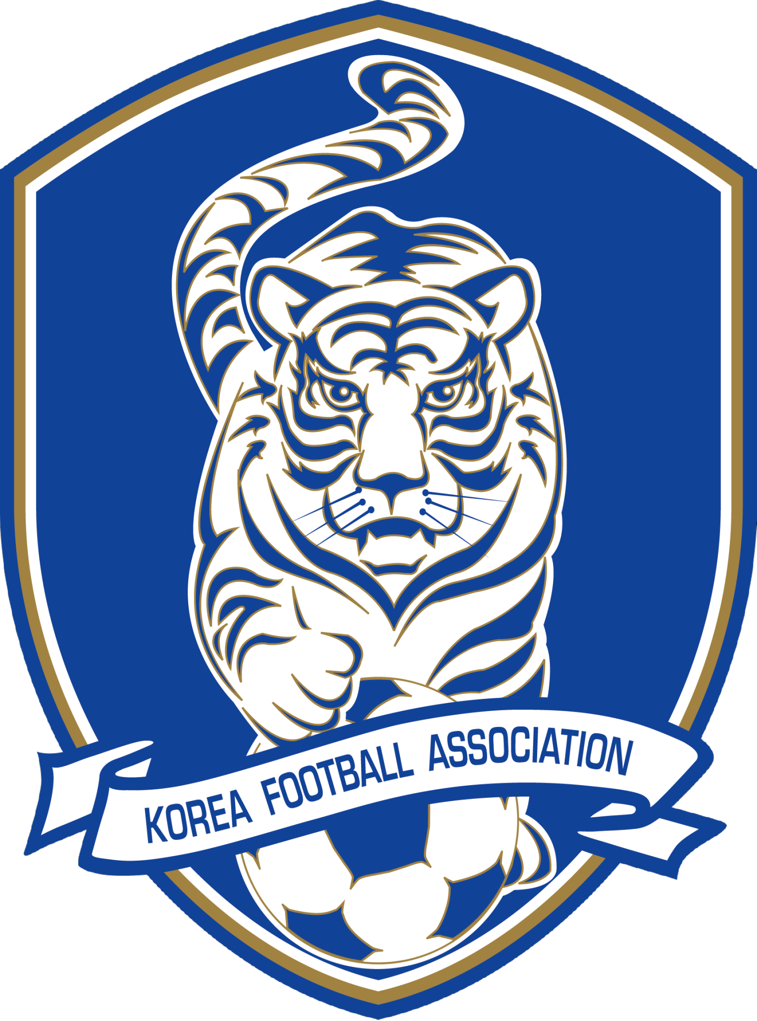 韩国国家男子足球队 韩国国家男子足球队世预赛
